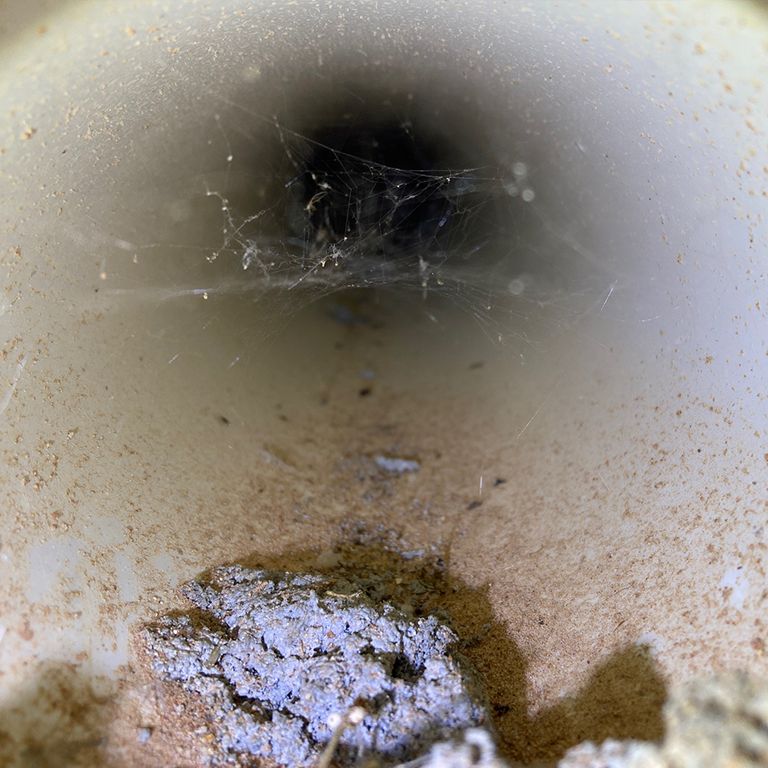 Sewer scope inspection Houston TX Fort Bend County Imperial Pro Inspection